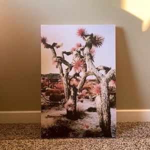 Cactus in the Desert Canvas Wall Art with Pink Hues